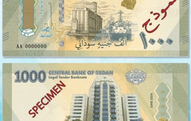 العملة الجديدة